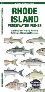 Rhode Island Freshwater Fishes : A Waterproof Folding Guide to Native and Introduced Species