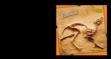 Fossils