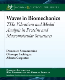 Waves in Biomechanics : THz Vibrations and Modal Analysis in Proteins and Macromolecular Structures