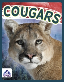 Wild Cats: Cougars