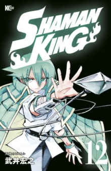 SHAMAN KING Omnibus 7 (Vol. 19-21)