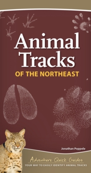 Animal Tracks of the Northeast : Your Way to Easily Identify Animal Tracks