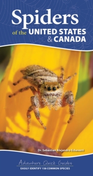 Spiders of the United States : A Guide to Common Species