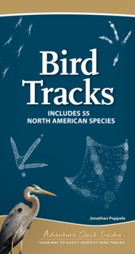 Bird Tracks : Easily Identify 55 Common North American Species