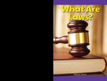 What Are Laws?