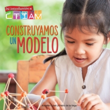 Construyamos un modelo : Let's Build a Model!