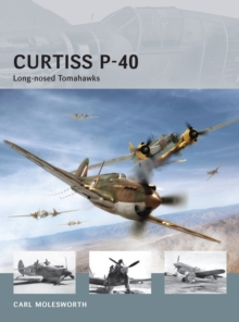 Curtiss P-40 : Long-nosed Tomahawks
