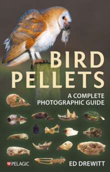 Bird Pellets : A Complete Photographic Guide