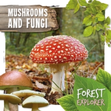 Mushrooms & Fungi
