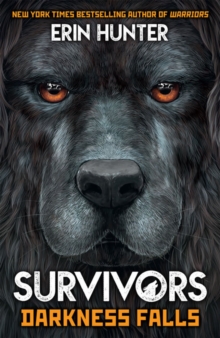 Survivors Book 3: Darkness Falls