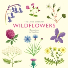 The Little Guide to Wildflowers