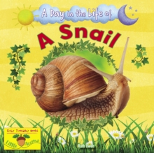 A Snail