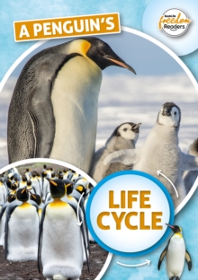 A Penguin's Life Cycle