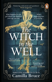 The Witch in the Well : A deliciously disturbing Gothic tale of a revenge reaching out across the years