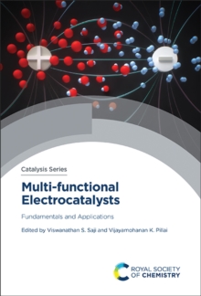 Multi-functional Electrocatalysts : Fundamentals and Applications