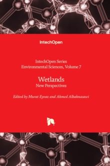 Wetlands : New Perspectives