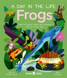 Frogs (A Day in the Life) : What Do Frogs, Toads, and Tadpoles Get Up to All Day?