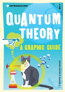 Introducing Quantum Theory : A Graphic Guide