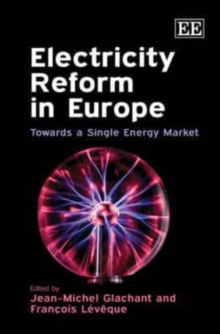 Electricity Reform in Europe - Towards a Single Energy Market