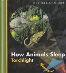 How Animals Sleep