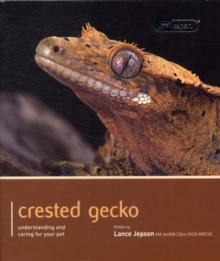 Crested Gecko - Pet Expert : Understanding and Caring for Your Pet