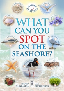 What Can You Spot on the Seashore?