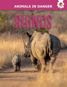 Rhinos : Animals In Danger