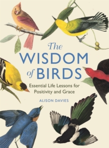 The Wisdom of Birds : Essential Life Lessons for Positivity and Grace