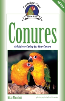 Conures : A Guide to Caring for Your Conure