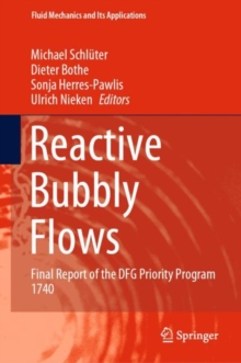Reactive Bubbly Flows : Final Report of the DFG Priority Program 1740