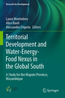 Territorial Development and Water-Energy-Food Nexus in the Global South : A Study for the Maputo Province, Mozambique