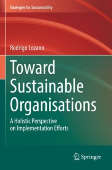Toward Sustainable Organisations : A Holistic Perspective on Implementation Efforts