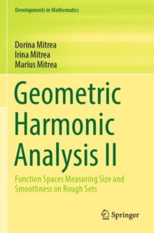 Geometric Harmonic Analysis II : Function Spaces Measuring Size and Smoothness on Rough Sets