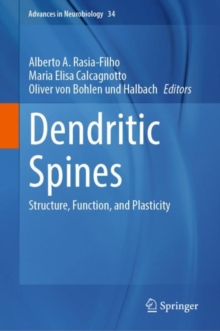 Dendritic Spines : Structure, Function, and Plasticity