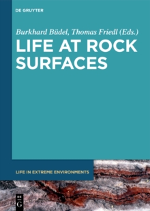 Life at Rock Surfaces : Challenged by Extreme Light, Temperature and Hydration Fluctuations