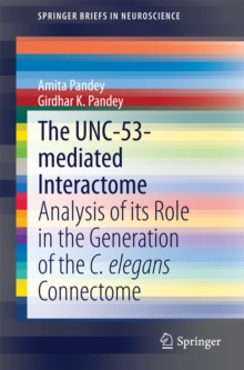The UNC-53-mediated Interactome : Analysis of its Role in the Generation of the C. elegans Connectome