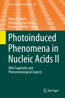 Photoinduced Phenomena in Nucleic Acids II : DNA Fragments and Phenomenological Aspects