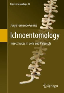 Ichnoentomology : Insect Traces in Soils and Paleosols