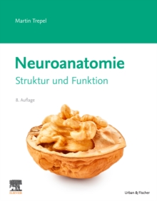 Neuroanatomie : Struktur und Funktion