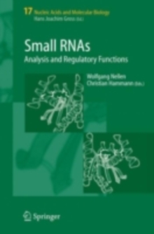 Small RNAs: : Analysis and Regulatory Functions