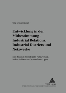 Entwicklung in der Mitbestimmung - Industrial Relations, Industrial Districts und Netzwerke : Das Beispiel 