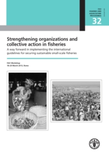 Strengthening organizations and collective action in fisheries : a way forward in implementing the international guidelines for securing sustainable small-scale fisheries, FAO workshop, 18-20 March 20