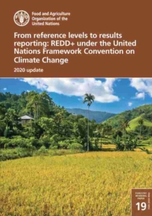 From reference levels to results reporting : REDD+ under the United Nations Framework Convention on Climate Change, 2020 update