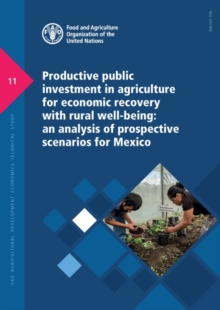 Productive public investment in agriculture for economic recovery with rural well-being : an analysis of prospective scenarios for Mexico