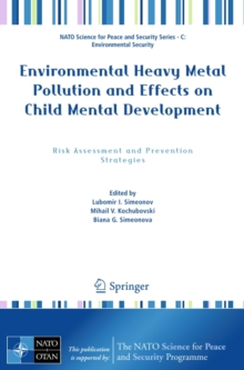 Environmental Heavy Metal Pollution and Effects on Child Mental Development : Risk Assessment and Prevention Strategies
