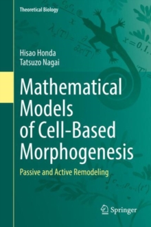 Mathematical Models of Cell-Based Morphogenesis : Passive and Active Remodeling