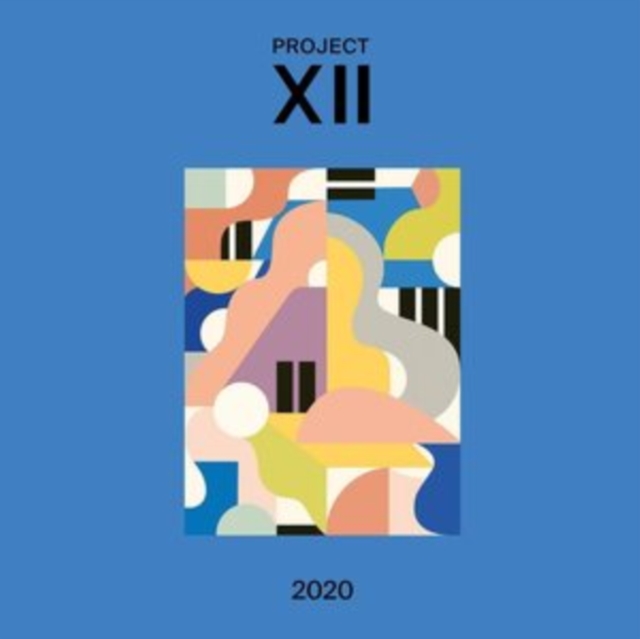 XII 2020, Vinyl / 12" Album Vinyl