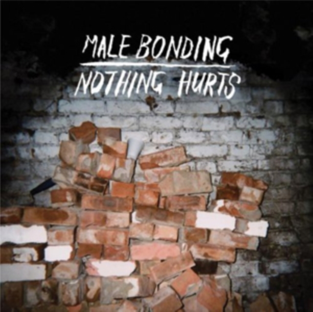 Nothing Hurts, CD / Album Cd