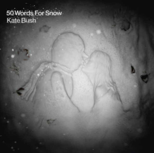 50 Words for Snow, Vinyl / 12" Album Vinyl