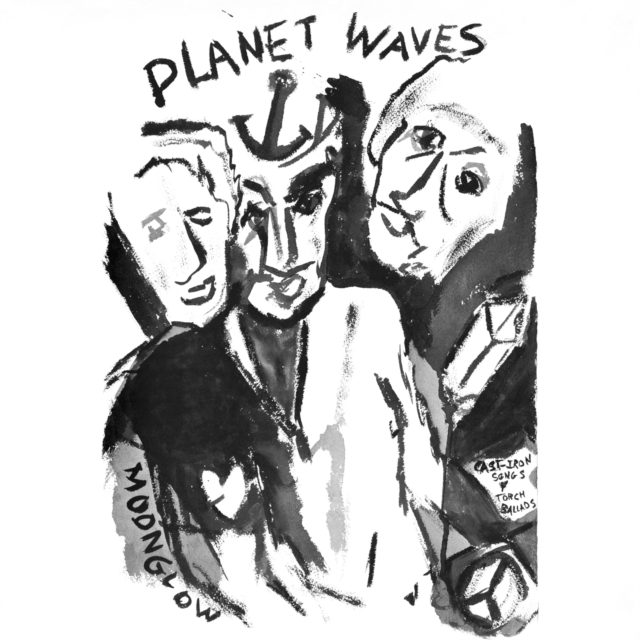 Planet Waves, Vinyl / 12" Album Vinyl
